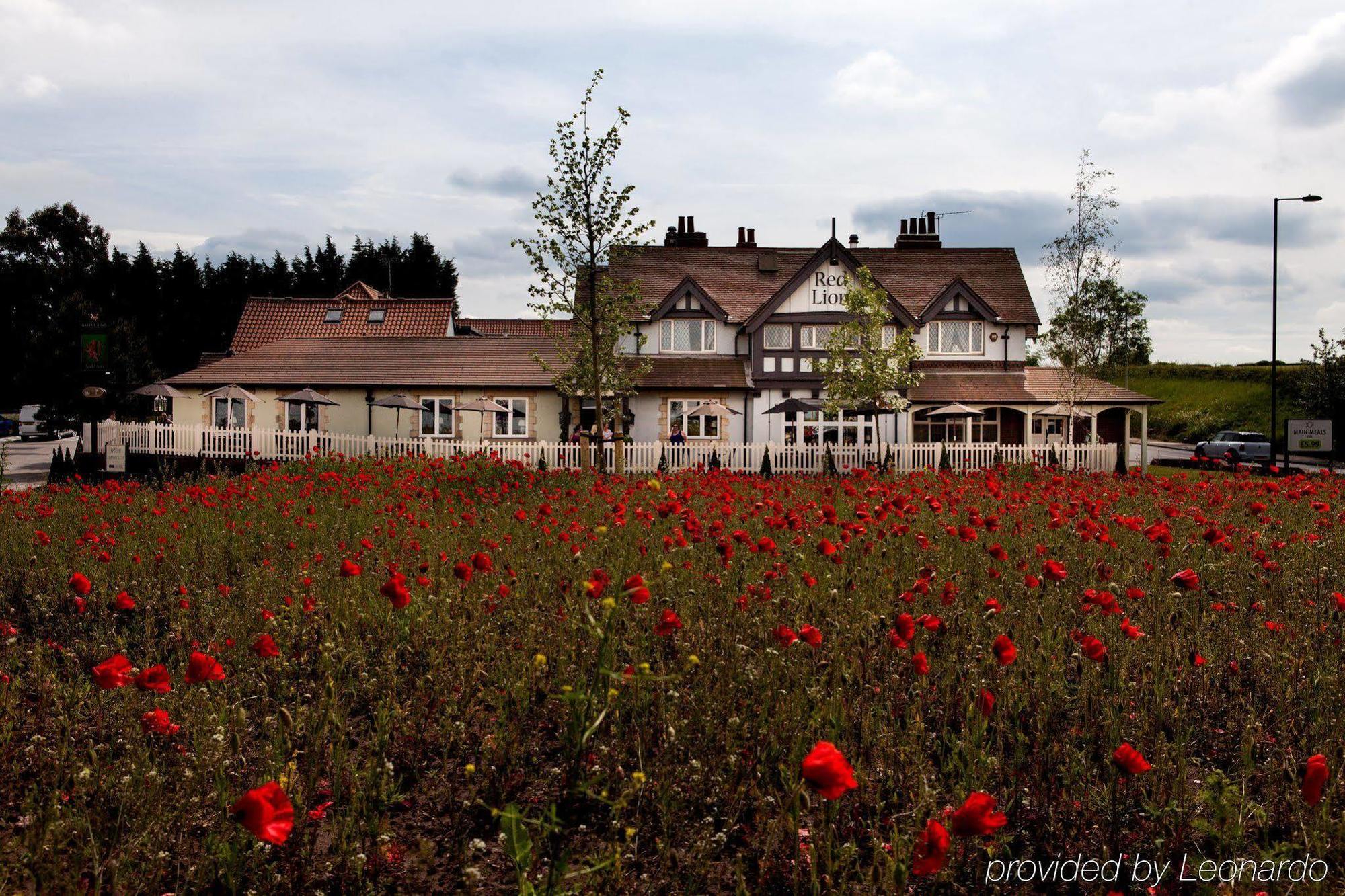 The Red Lion Inn By Chef & Brewer Collection Todwick Exteriör bild